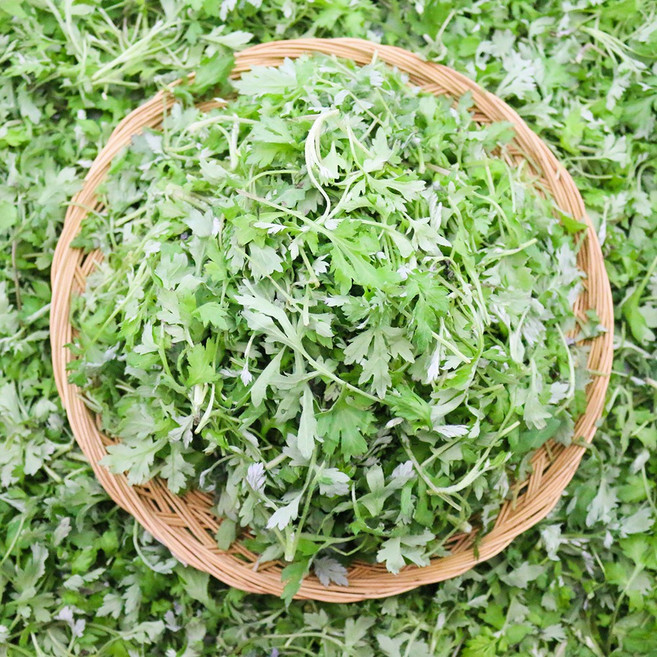 국내산 쑥 1kg 당일채취 나물 생쑥 향긋한 봄나물 쑥나물 400g 200g, 1개