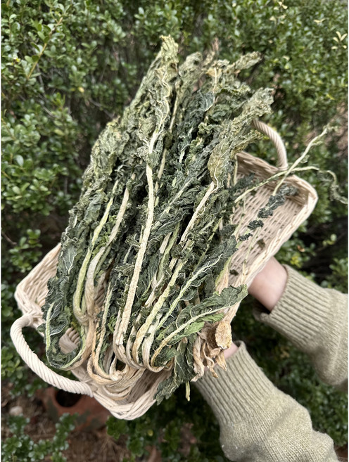 [출하기념-선착순100명 한정특가] 국내산 산청 건시래기 말린시래기 무시래기 500g 1kg, 1개, 산청건시레기500g