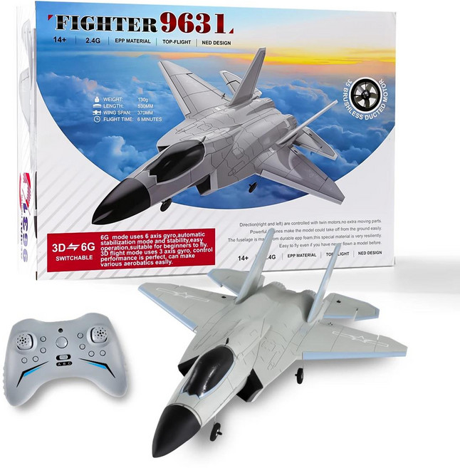 FX9631 RC 비행기 2.4G 4 채널 비행기 J-35 3D 6G 브러시리스 EPP 원격 제어 스턴트 항공기 성인 어린이를, 1개, 01 FX9631