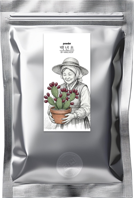 백년초가루 백련초 분말 선인장 열매 파우더, 100g, 1개, 1개입