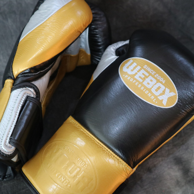 노바복싱 785 복싱글러브, 1세트, 검정