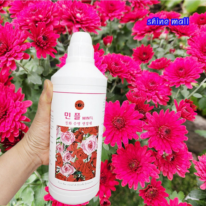 국내산 민플 절화수명연장제 대용량 1L (1개/2개) 선택가능/ 꽃의 신선도를 더 오래 유지, 1.민플1L x 1개