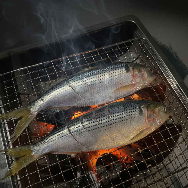 먹부장 급냉 통전어 전어구이 국내산 1kg(4~5미), 1