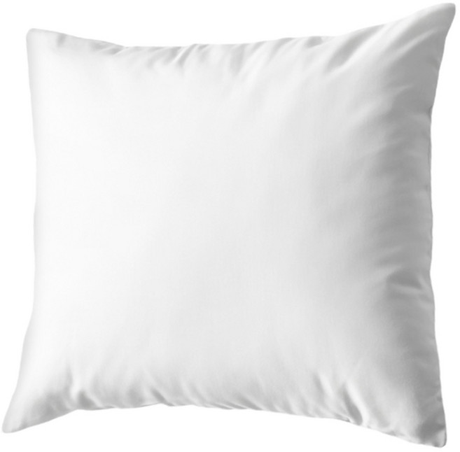 리드홈 국내생산 프리미엄 푹신한 구름솜 지퍼형, 항균솜 45x45cm, 1개