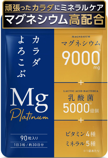 health+ platinum 9000ml 마그네슘 마그네슘 사프리 고농도 마그네슘 유산균