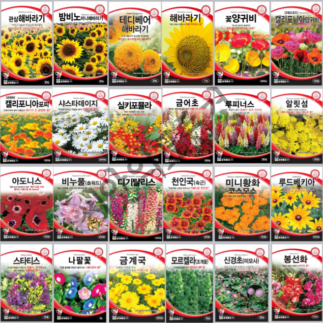 꽃씨 150종 모음 해바라기 국화 나팔꽃 채송화 봉선화 금계국 양귀비 금잔화 코스모스씨앗, 35.라바테라, 1개