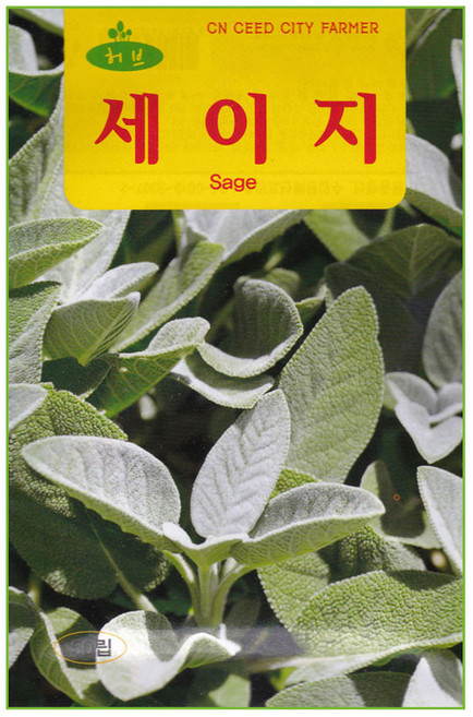영농사 세이지 허브 씨앗 50립, 1개