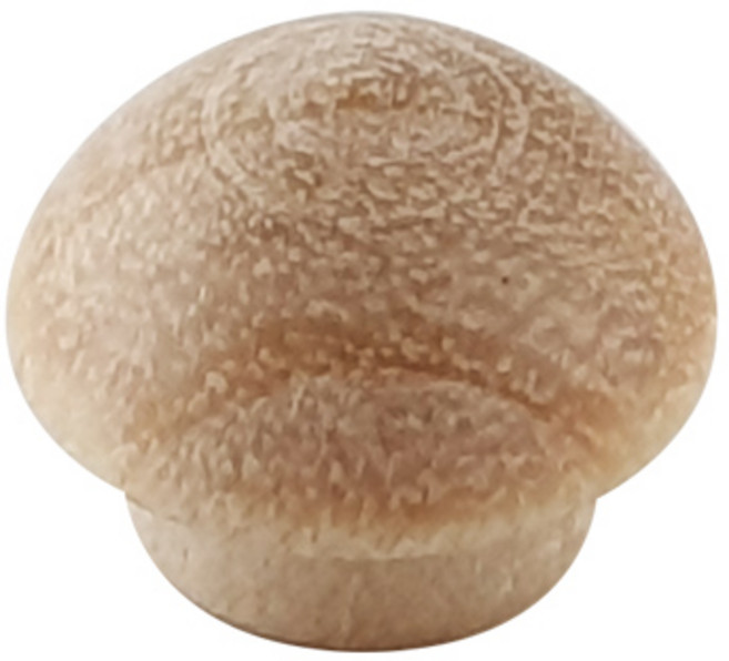 원목 피스 캡 커버 목심 목다보 구멍 메꾸미, 목제품-원목피스커버13x9(1EA)-도매, 1개