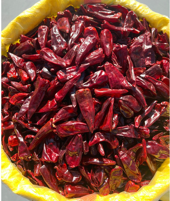 2025년 햇 중국산 익도 (덜매움) 건고추 5kg, 1개, 5묶음