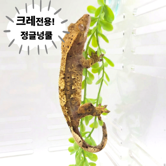 크레 도마뱀 백업 인조넝쿨식물 사육장 꾸미기 용품 흡착판, 정글넝쿨 중, 1개