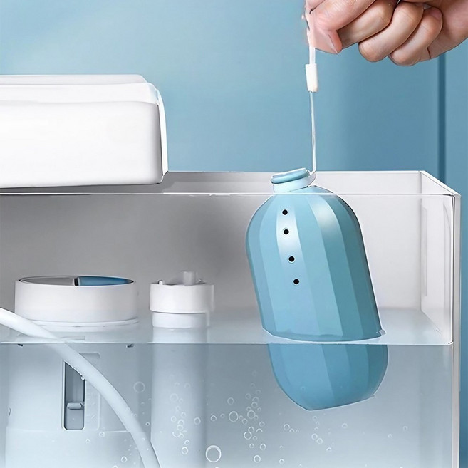 블랙가디언 자동 변기세정제 요석제거제 석회 청소세제, 2개, 100g