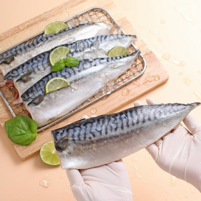 크기에 놀라는 왕특대 프리미엄 노르웨이 고등어, 10개, 200-230g