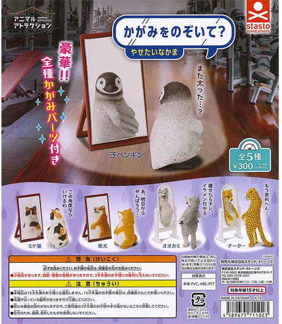 stasto 動物發福系列 動物小腹 轉蛋 公仔 柴犬, 1個, 狼