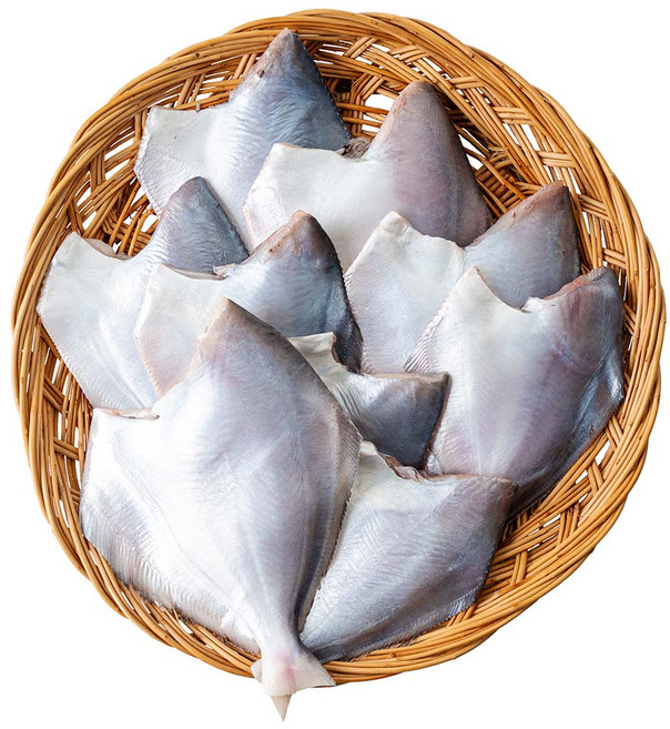 국내산 횟감용 제철 손질 병어 생물 병어회, 1개, 500g