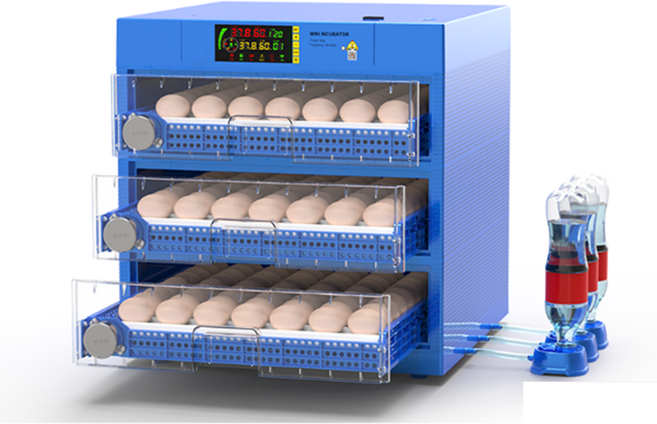 병아리 부화기 인큐베이터 부화용 기계 닭 알 꿩 자동, 대형 스크린 176 전자동 이중 배터리, 1개