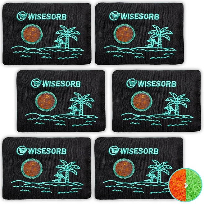 Wisesorb 200g x 3pc 충전식 제습제 팩 투명 창문이 있는 실리카겔 패킷 색상 습기 흡수제 보관 안전한 옷장 지하 카메라용 재사용 봉투