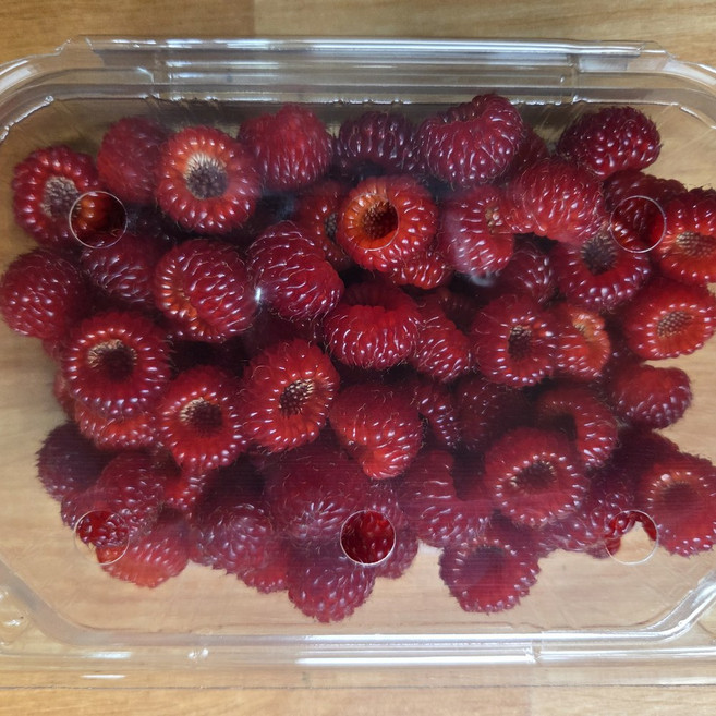[제니네 제철과일] JE 산지발송 산딸기, 1개, 1kg (4팩)