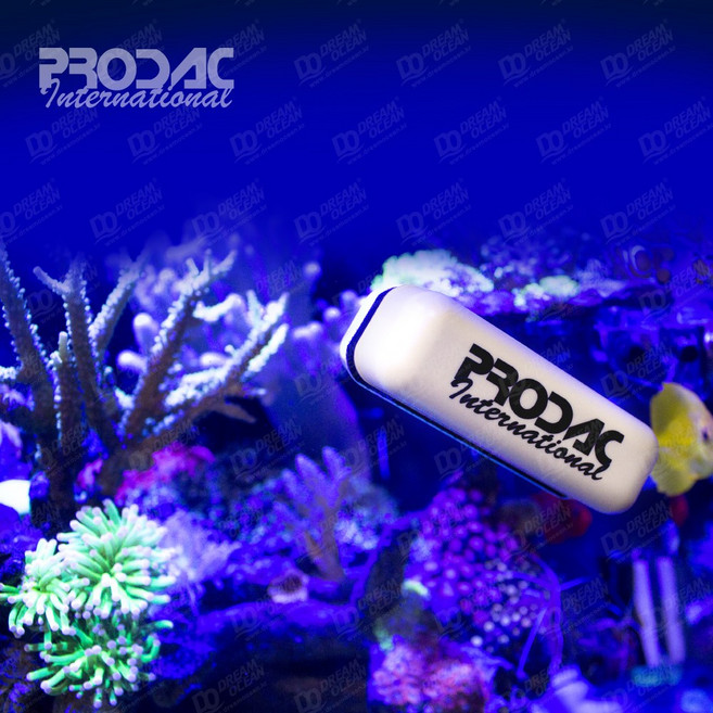 PRODAC 글라스클리너 맥플로트-어항 수조 수족관 유리 청소 자석 청소기 용품, 1개