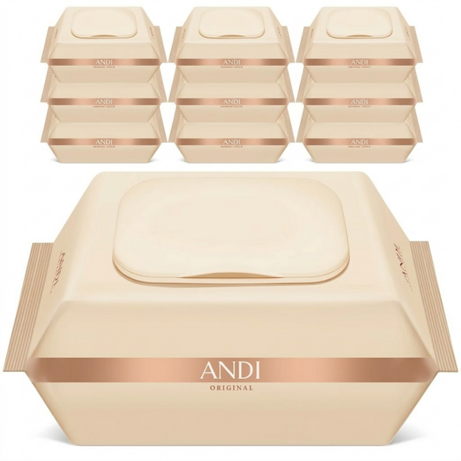 물티슈 구매1위 도톰한 물티슈 100매 10팩 ANDI 오리지널, 10개, 300g
