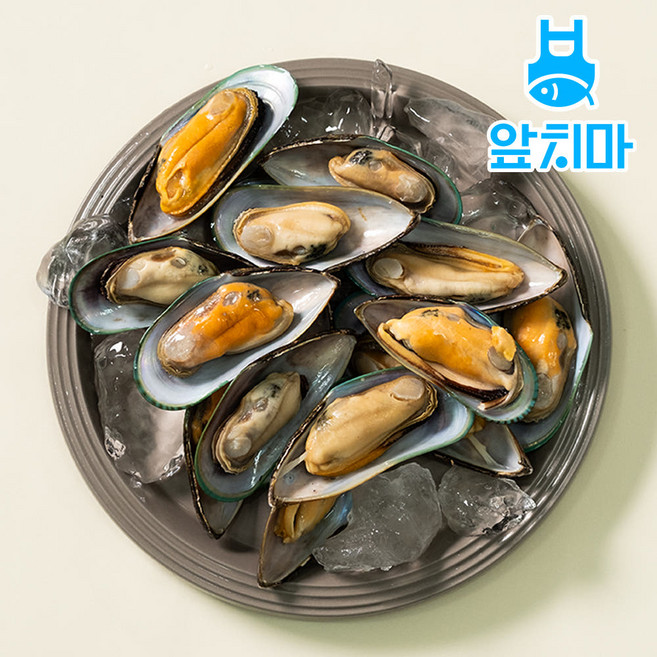 뉴질랜드 그린홍합 반탈각 홍합구이, 1개, 9.6kg