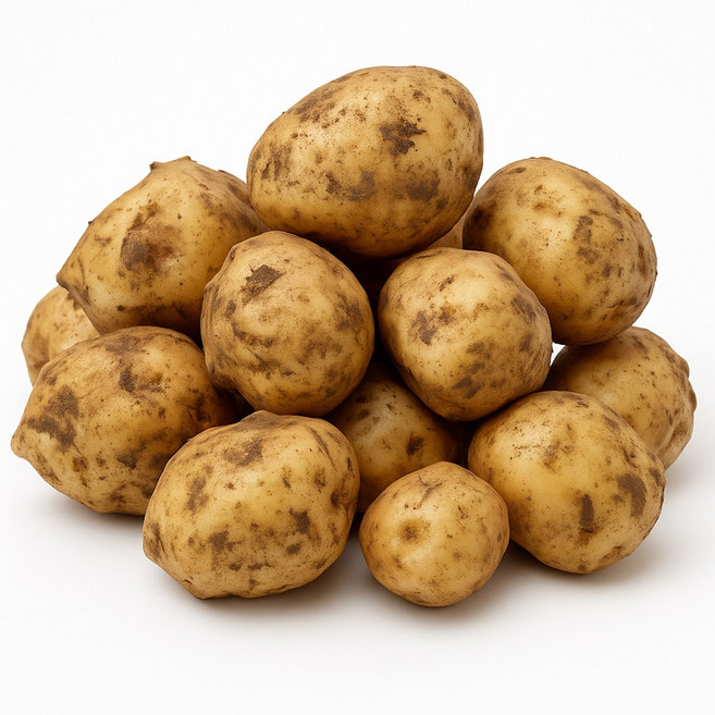 [해들애] 25년 햇감자 수미감자 국내산, 1박스, 5KG (대)