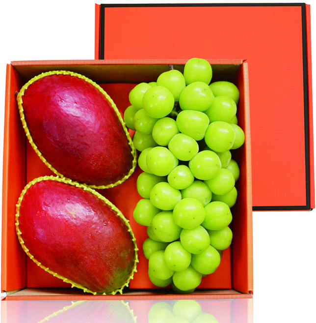 과일선물 프리미엄 명품 샤인머스캣 & 애플망고 쁘띠선물세트 (1.8kg 내외), 1개