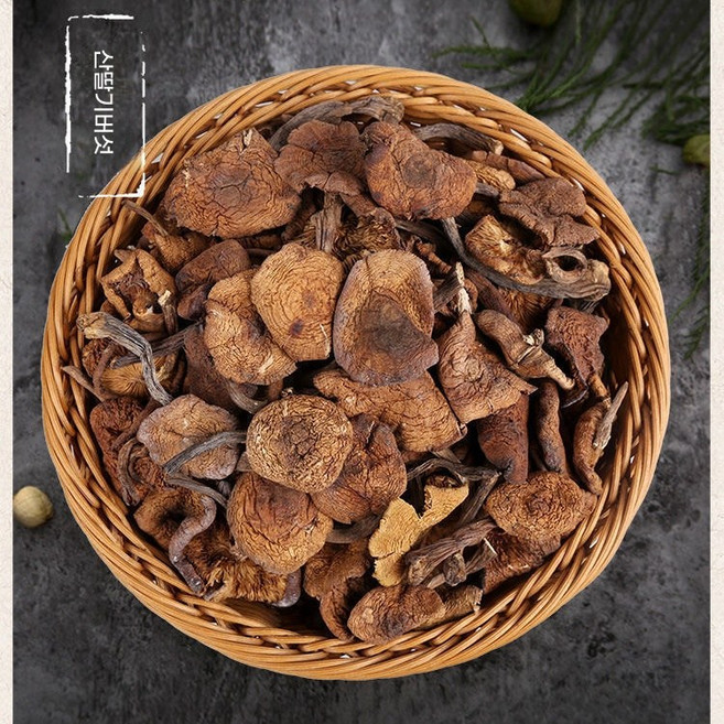 장백산(중국) 자연산 건 개암버섯, 1개, 1kg