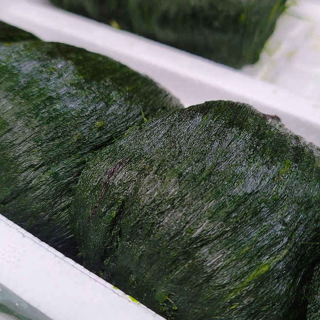 국내산 완도 냉동 매생이, 1개, 2kg