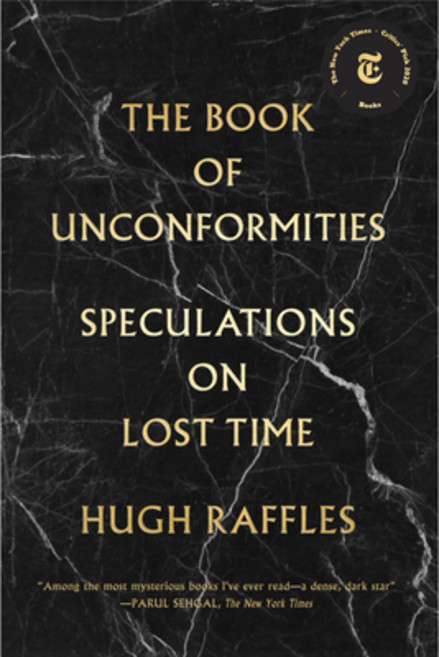 (영문도서) The Book of Unconformities: Speculations on Lost Time Paperback, Verse Chorus Press, English, 9781891241734