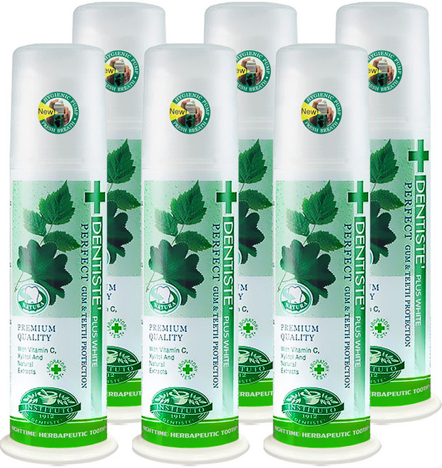 덴티스테 플러스화이트 펌프형 치약, 170g, 6개