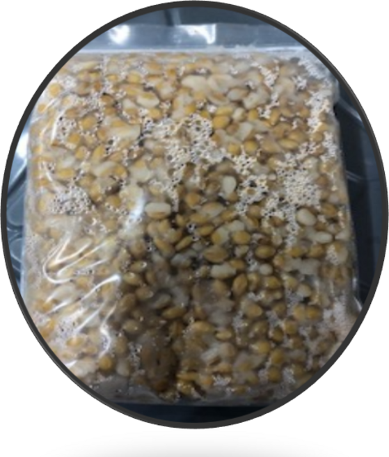 겉보리/집어제/보리떡밥/밑밥/삶은보리/650g, 1개
