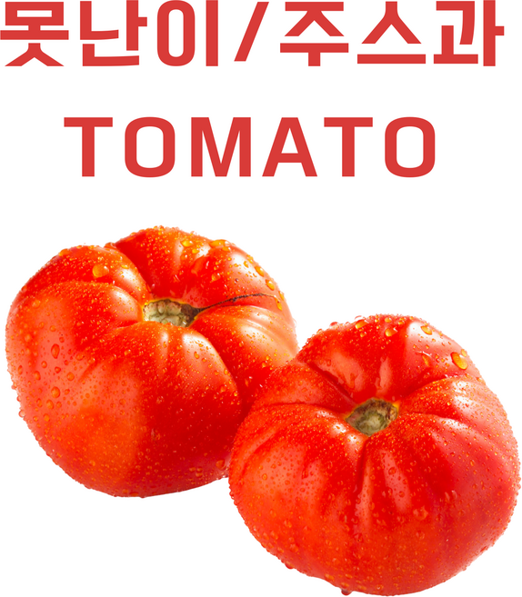 [지앤에프농업회사] 과즙팡팡 !! 당도폭발!! 완숙토마토 로얄중과/ 대과 / 주스과 구성 당일수확 당일발송, 1박스, 못난이/3kg