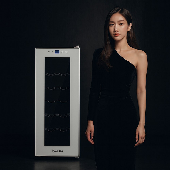 매직쉐프 미니 와인냉장고 소형 와인셀러 술냉장고