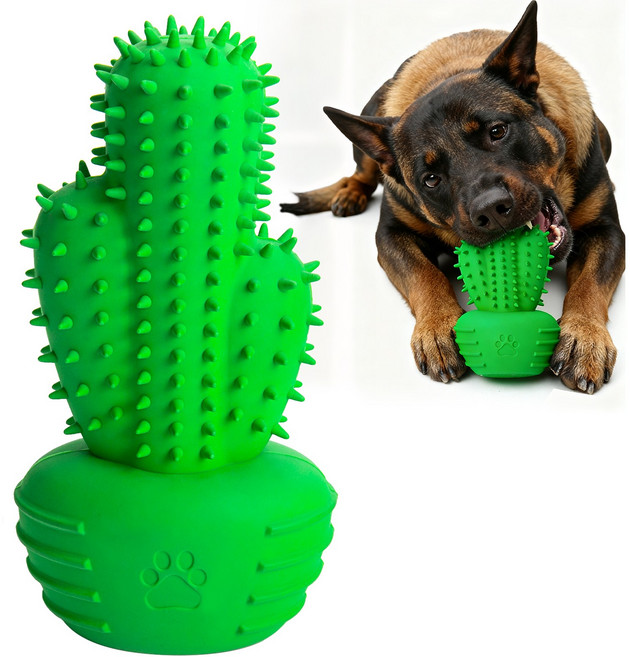 Qdan 반려견 씹는 치아 관리 장난감 고무 소재의 소리 나는 선인장 모양 강아지 장난감, 1개, 초록색