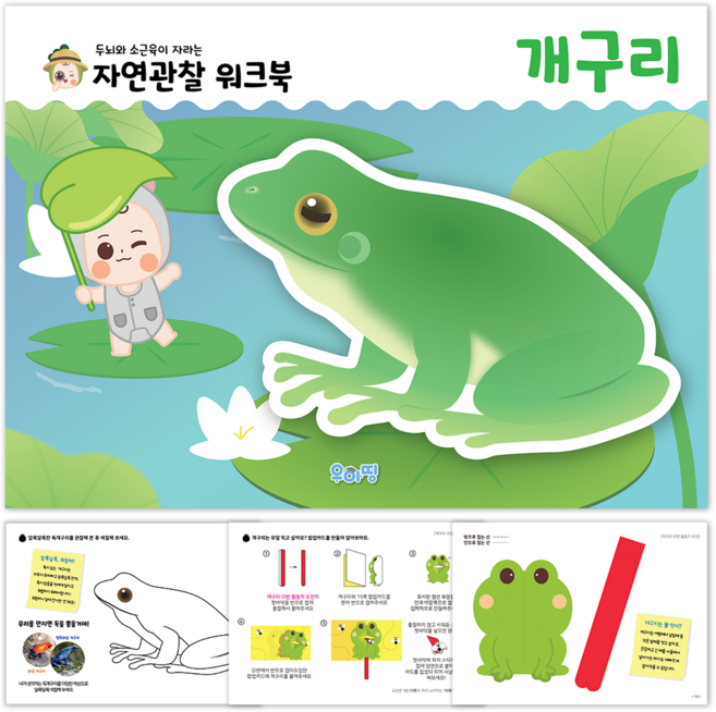 개구리 자연 관찰 워크북 책 학습 홈스쿨 소근육 발달