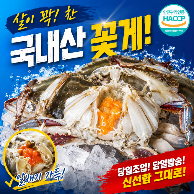 {특A급 }재구매 1위 알가득 국내산 서해안 연평도 생물 알배기 활 암꽃게 3kg, 1박스, 3kg(9-15미)