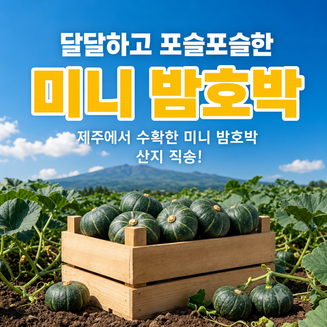 [다이어트간식] 제주 보짱 미니 밤호박, 1개, 10KG 로얄과