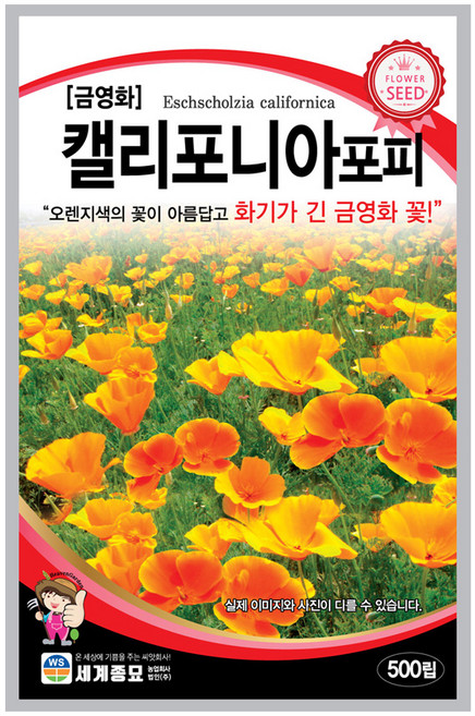 모칸도 금영화 씨앗 캘리포니아 포피 500립 세계종묘 꽃씨 꽃씨앗, 1개