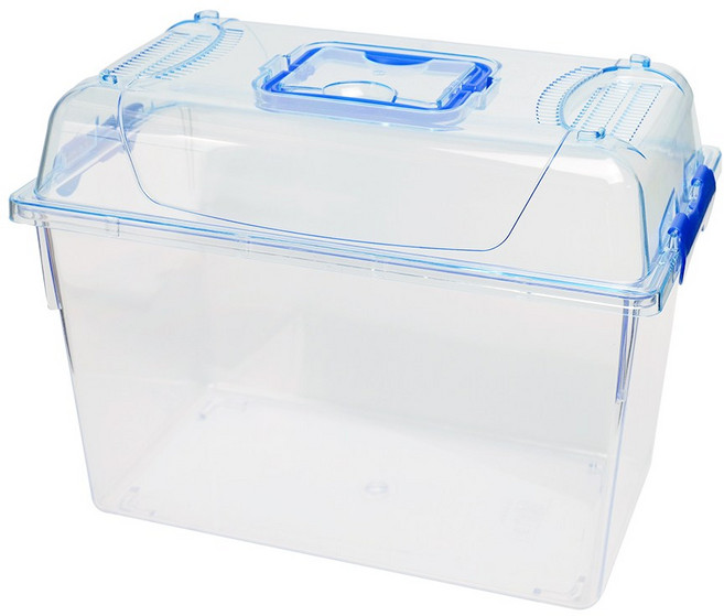 클린케이스 사육통 특대 (사슴벌레 장수풍뎅이 곤충 파충류 양서류 절지류 채집통) - 꿈도미, 1개