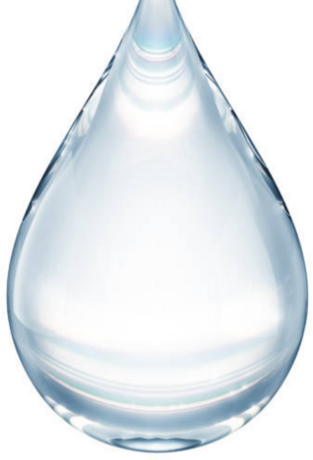 굿피플 울릉도고로쇠 고로쇠수액 고로쇠물 우산고로쇠, 24개, 1.5L