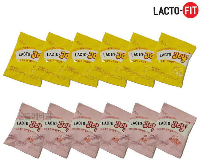 락토조이 구미젤리 믹스 유산균 젤리+미니약과 1개 증정, 25g, 12개