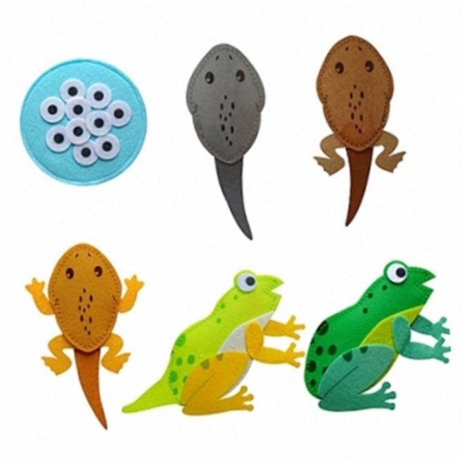 생명과학 동물의 한살이 개구리 1개입