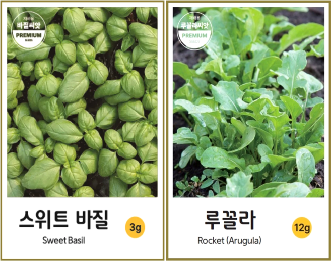 허브씨앗 스위트 바질 루꼴라 씨앗 종자 바실 키우기 basil arugula, 2개