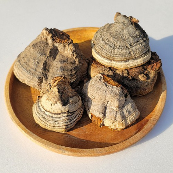 자연산 말굽버섯 말발굽버섯 300g 강원도 약초꾼 직접 판매, 종말굽버섯300g 깍뚝, 1개