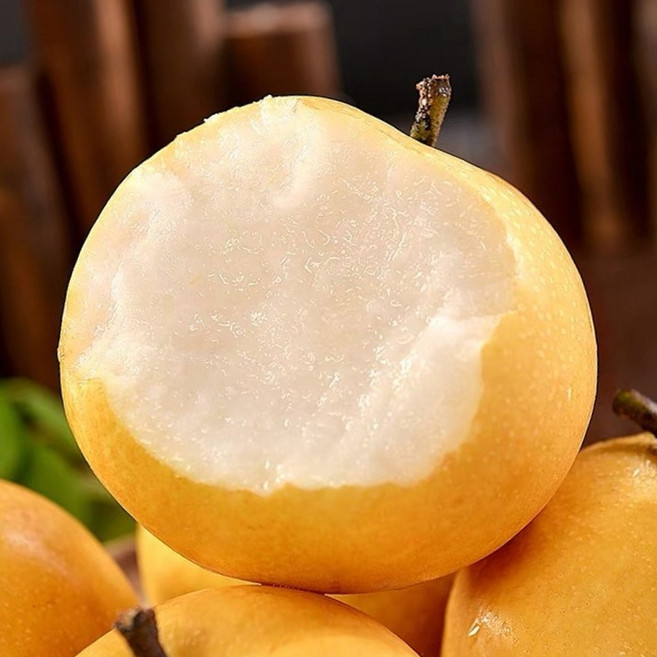 [특별한세일]과육꽉찬 달콤시원 과즙줄줄 산지공급 나주배, 1박스, 5kg