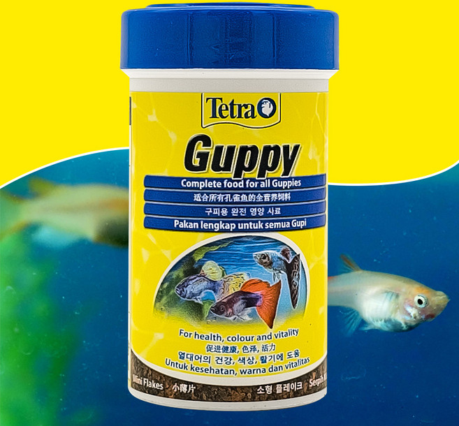 테트라 구피사료 100ml 30g, 1개