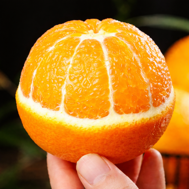 [블랙라벨]재구매1위 당도폭발 블랙라벨 오렌지 중소과, 1개, 5과