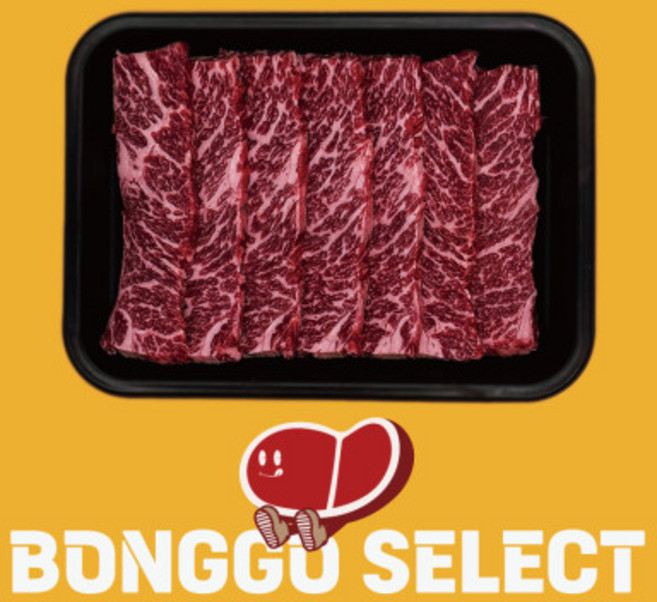 미국산 살치살(초이스) 500g, 1개