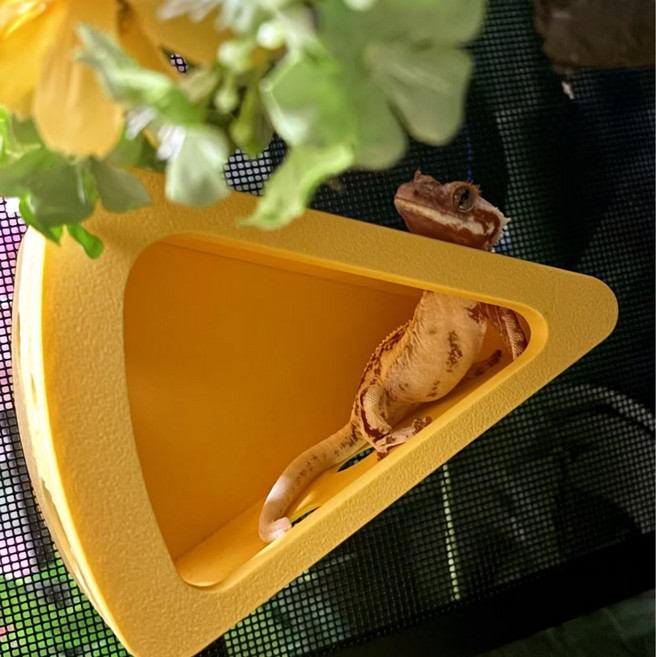 3D프린팅 치즈 모양 은신처 크레스티드 전용 자석식 파충류 숨쉼집, 1개, 노란색
