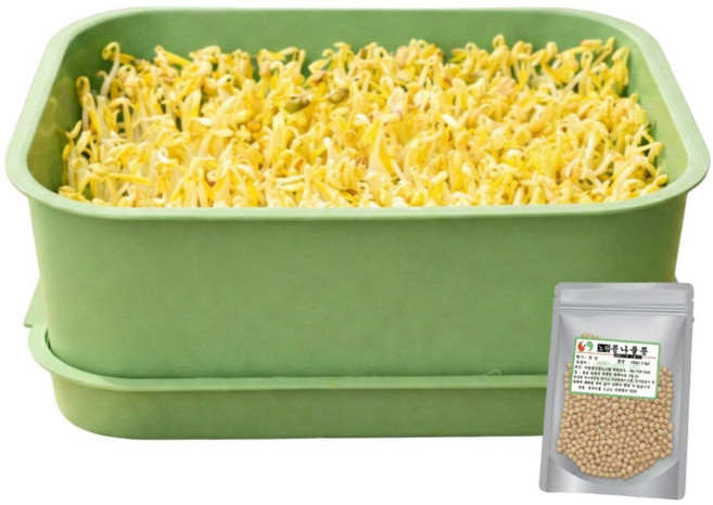 가정용 콩나물 재배기, 1개